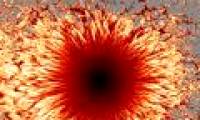 Sunspot: the latest simulation