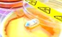 Super antibiotic detection can cure most diseases