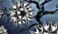 Super avian influenza virus becomes a biological bomb?