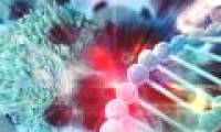 'Super cells' defeat cancer, infection and aging