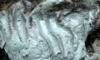 Surprise with this close material can resist antibiotic resistant bacteria