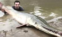 Surprising creature that can 'interbreed across 100 million years of evolution'