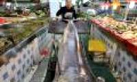 Swordfish is more than 4 meters in length to Chinese fishermen's net