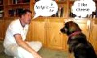 'Talking dog' catches attention on Youtube