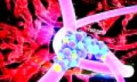 Targeted cancer treatment drugs of Vietnam