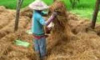 Technology for treating straw into organic fertilizer