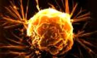 Template for selective drugs to kill cancer cells