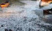 Tens of thousands of dead sardines drifted to the banks of the Chilean river