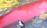 Terrified because the river changed color, red like blood in Russia