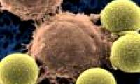 Testing breakthroughs to cure blood cancer