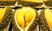 Thailand launches ... durian into the universe