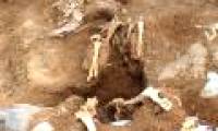 Thanh Hoa: Detecting sacrifices in Dan Te Nam Giao