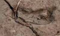 The 15,600-year-old footprint confirms human history in the Americas