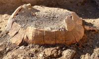 The 2,000-year-old creature intact and stunned in the petrified city