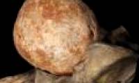 The 200-year-old stone uterus weighs 3kg in England
