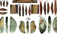 The 48,000-year-old arrowhead is detected by animal bones