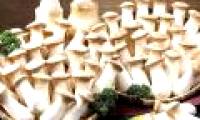 The 5 best mushrooms to prevent type 1 carcinogens, make kids smarter