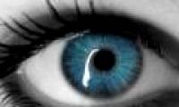 The 700 million year evolution of eyesight