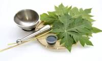 The amazing benefits of papaya leaves that few people know about