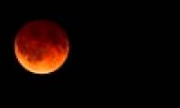 The amazing natural phenomenon of the