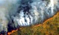 The Amazon forest was big, and the smoke could be seen from the orbit