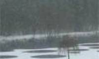 The American people roared because of the mysterious circle on the pond