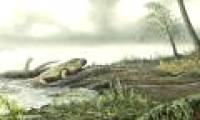 The ancestor of antibiotic resistant bacteria dried up 450 million years ago