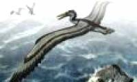 The assassins once dominated the blue sky