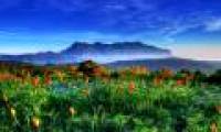 The beauty of 'hard to resist' of 20 places in the world when spring comes