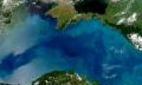 The Black Sea changed colors - NASA warned of the risk of harming plants and animals