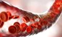 The blood cells of cancer survivors have hope to help other patients' get better.