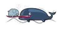 The blue whale's tongue is even heavier than an elephant
