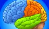 The brain can 'look' even though the eyes cannot see