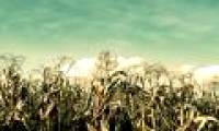 The catastrophic consequences of blocking the Sun cool the Earth