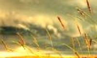 The cause of wind, tide and sea currents