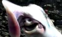 The creature in the picture 'Alien monster' at the bottom of the sea is not a fantasy