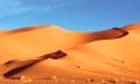 The culprit turns the Sahara prairies into arid deserts