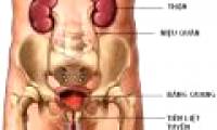 The cure for bladder cancer is effective