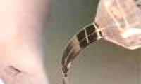 The cyborg device helps to heal