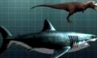 The difficult reason makes the Megalodon shark extinct