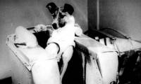 The dog astronaut Laika and the one-way flight of no return'