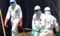 The Ebola epidemic in Liberia decreased, but it was still early to celebrate