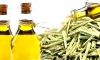 The effects of citronella oil and how to make simple citronella oil at home
