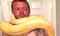 The engine urged python 2.4 meters to kill the master