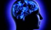 The evolutionary origin of intelligence