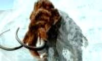The extinction of mammoths is warning humanity
