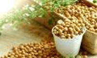 The fact that soy affects reproductive health