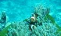 The facts may be unknown to you about the oceans