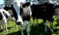 The farmer turned waste products into export products