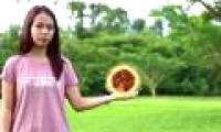 The female student won $ 250,000 thanks to the video explaining the theory of relativity